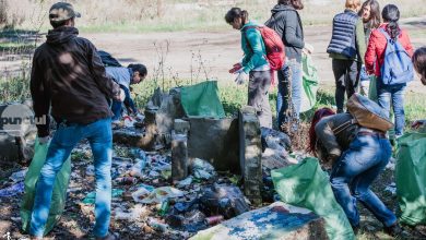 peste-22.000-de-romani-s-au-inscris-deja-la-ziua-de-curatenie-nationala