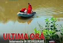 pompierii-mureseni,-misiune-neobisnuita:-aproximativ-40-de-ovine,-blocate-in-apele-raului-mures,-in-localitatea-cristesti!