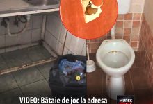 foto-video-|-bataie-de-joc-la-adresa-studentilor-din-targu-mures:-conditii-mizere,-insecte-si-preturi-abuzive-la-caminul-djst-mures!