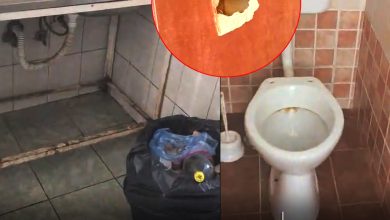 foto-video-|-bataie-de-joc-la-adresa-studentilor-din-targu-mures:-conditii-mizere,-insecte-si-preturi-abuzive-la-caminul-djst-mures!