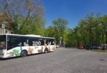 moda-sustenabila,-in-padocul-leilor-la-zoo-tg.mures
