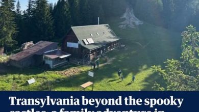 the-guardian-lauda-judetul-harghita:-natura-salbatica,-ursi-si-vacante-mult-mai-ieftine-decat-in-alpi