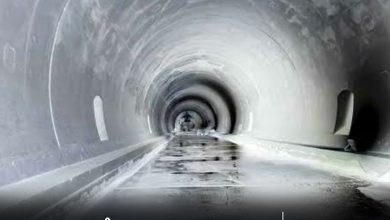 tunelul-de-peste-un-milion-de-lei-de-la-gradina-zoologica-starneste-controverse-in-consiliul-local-targu-mures!