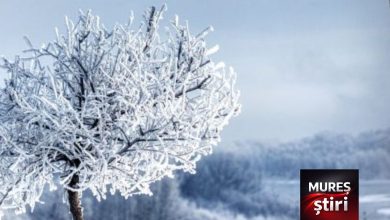 prognoza-accuweather:-primele-ninsori-vin-in-romania-la-finalul-lunii-septembrie.-unde-si-cand-cad-primii-fulgi
