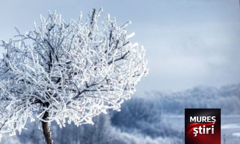 prognoza-accuweather:-primele-ninsori-vin-in-romania-la-finalul-lunii-septembrie.-unde-si-cand-cad-primii-fulgi