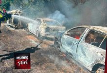 interventie-prompta-a-pompierilor-din-sighisoara-pentru-stingerea-unui-incendiu-de-vegetatie-uscata!