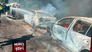 interventie-prompta-a-pompierilor-din-sighisoara-pentru-stingerea-unui-incendiu-de-vegetatie-uscata!