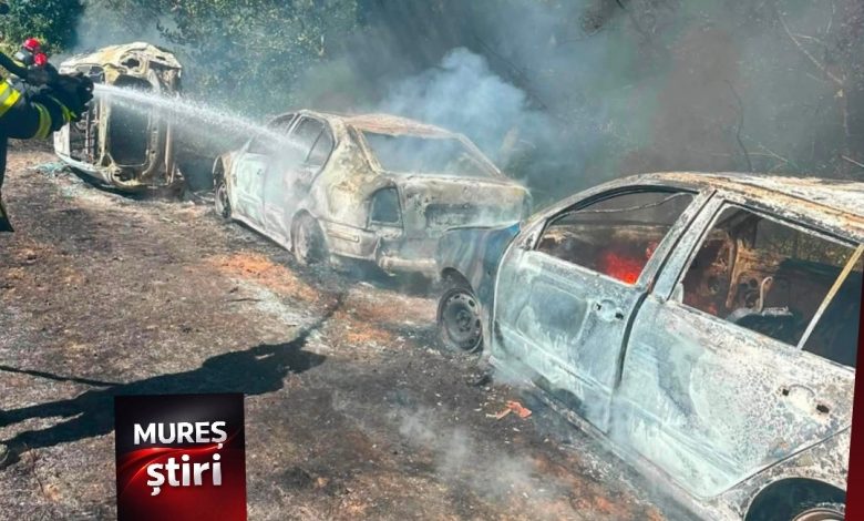 interventie-prompta-a-pompierilor-din-sighisoara-pentru-stingerea-unui-incendiu-de-vegetatie-uscata!