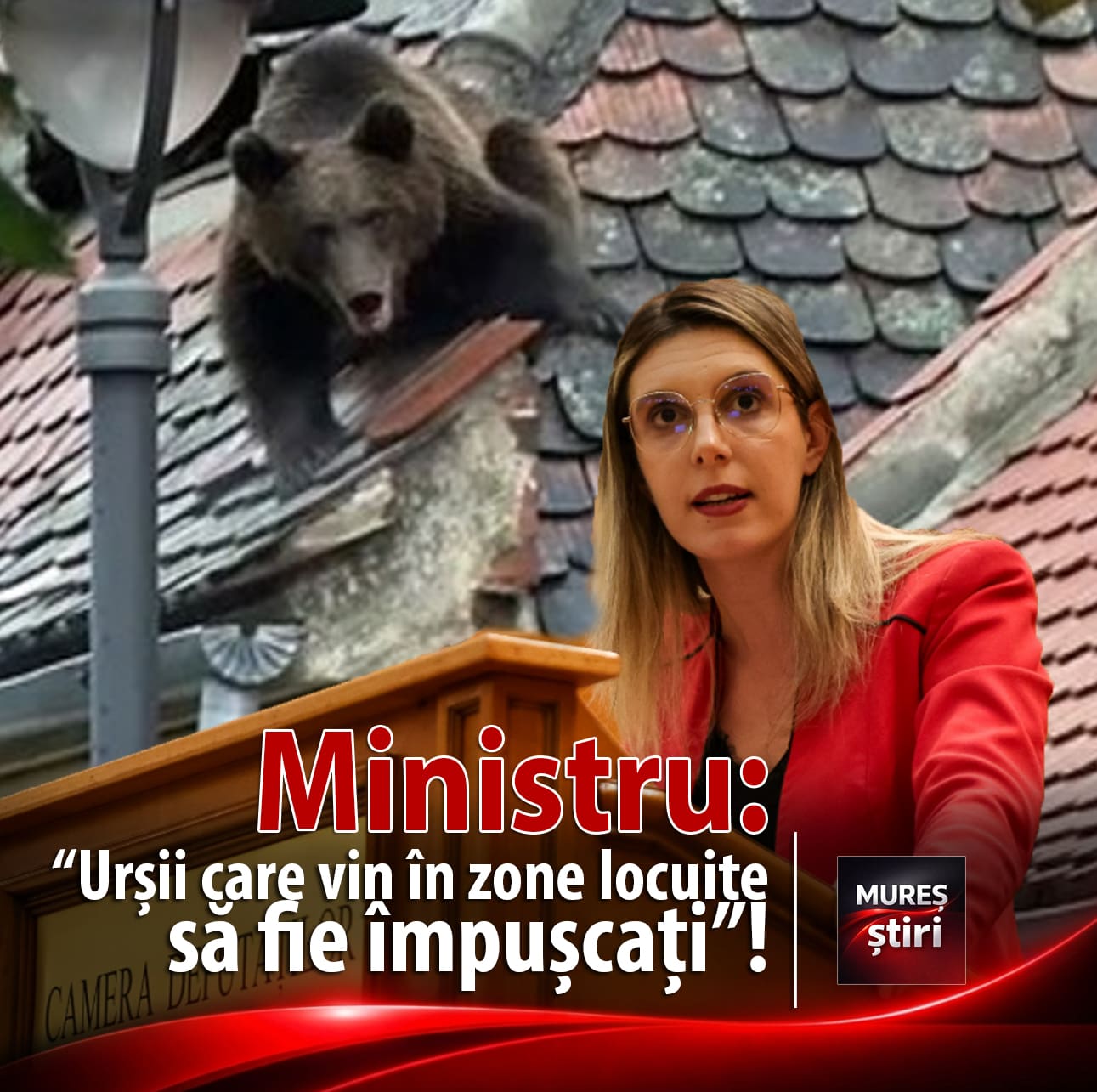 diana-buzoianu,-despre-criza-ursilor-din-romania:-„pentru-ursii-care-vin-in-intravilan-nu-mai-ai-altceva-de-facut-decat-sa-fie-impuscati”!
