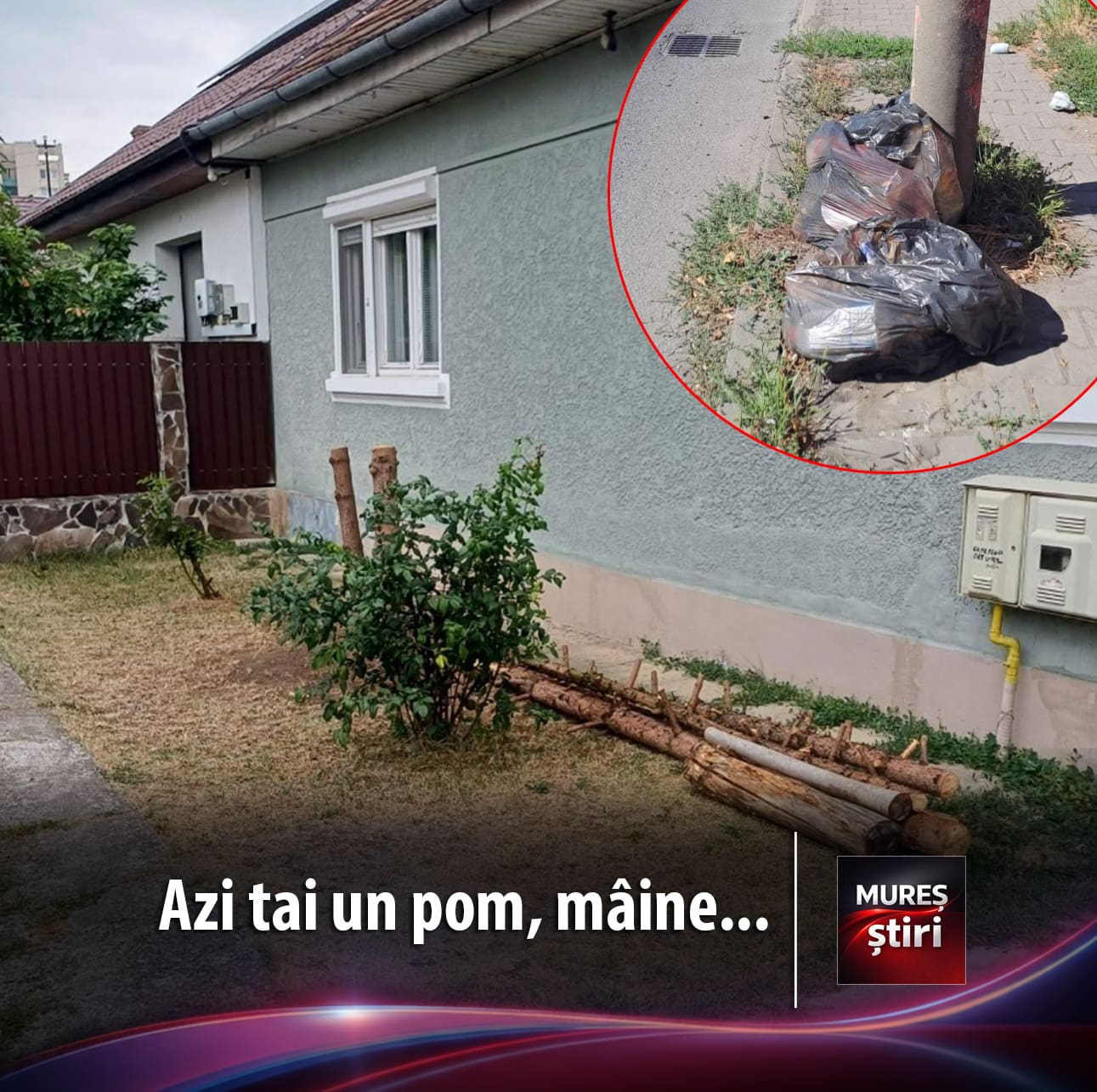 deseuri-si-defrisari-ilegale:-toleranta-zero-pentru-distrugerea-mediului!