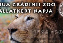 sarbatoare-la-gradina-zoologica-din-targu-mures