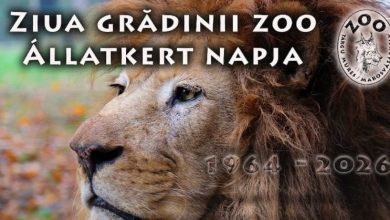 sarbatoare-la-gradina-zoologica-din-targu-mures