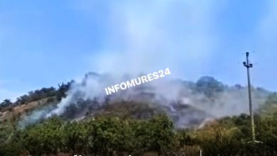 incendiu-de-vegetatie-uscata-in-localitatea-tirimia:-forte-impresionate-mobilizate-pentru-a-impiedica-propagarea-flacarilor-spre-padure!