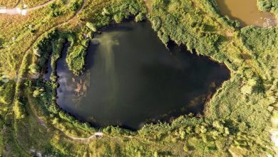 caramidaria-parasita-a-devenit-paradis-natural,-subiect-de-tur-ghidat