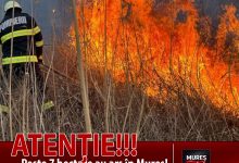 peste-7-hectare-de-vegetatie-uscata-au-ars-in-judetul-mures-–-avertismentul-isu-horea!