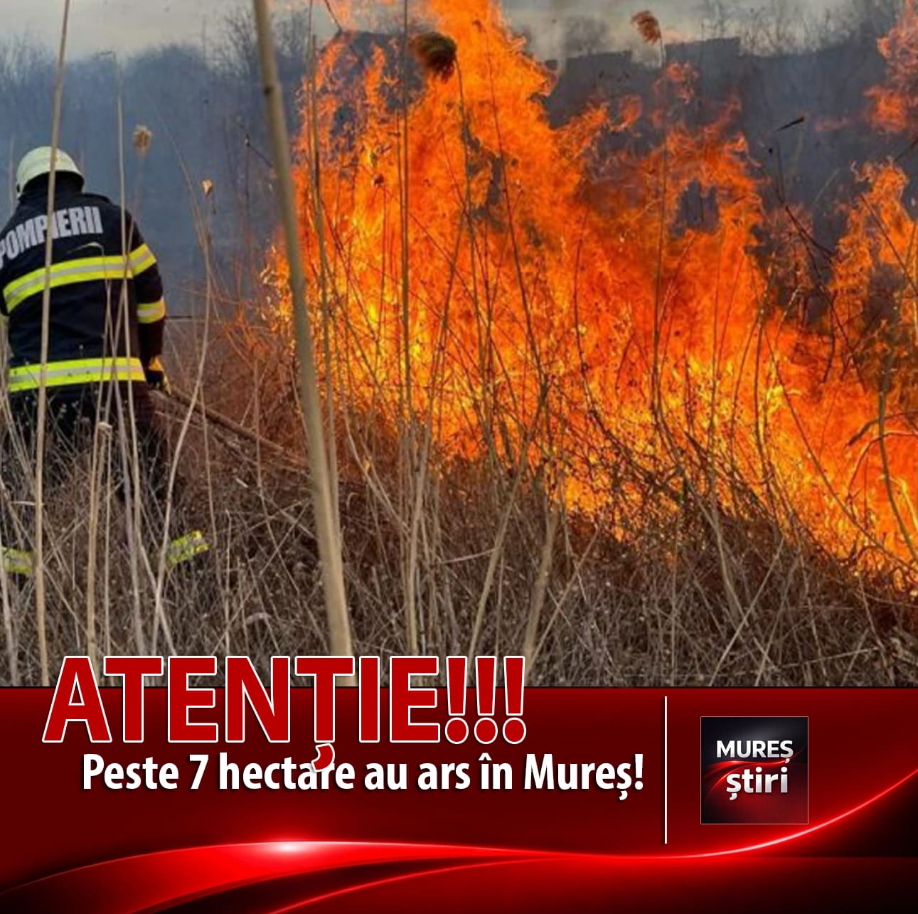 peste-7-hectare-de-vegetatie-uscata-au-ars-in-judetul-mures-–-avertismentul-isu-horea!