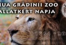 zoo-targu-mures-aniverseaza-62-de-ani-de-activitate-cu-intrare-gratuita-si-evenimente-speciale