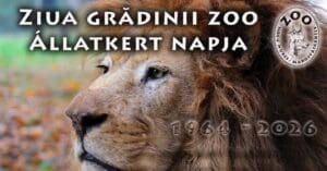 zoo-targu-mures-aniverseaza-62-de-ani-de-activitate-cu-intrare-gratuita-si-evenimente-speciale