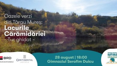 lacurile-caramidariei-din-targu-mures,-prezentate-in-premiera-in-cadrul-unui-tur-ghidat