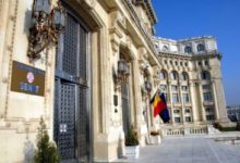 senatul-a-decis-mentinerea-cotei-de-vanatoare-pentru-ursi-pana-la-aproape-1.000-de-exemplare-pe-an