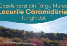 tur-ghidat-la-lacurile-caramidariei-din-targu-mures