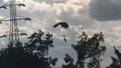 mures:-doi-militari-din-fortele-pentru-operatii-speciale,-raniti-in-timpul-unui-exercitiu-de-parasutare