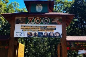 tunelul-vizitatorilor-din-zona-leilor-de-la-zoo-targu-mures,-mai-aproape-de-realizare