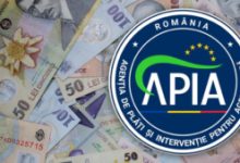 apia-a-publicat-ghidurile-pentru-schemele-de-ajutor-de-stat-destinate-crescatorilor-de-bovine-si-suine