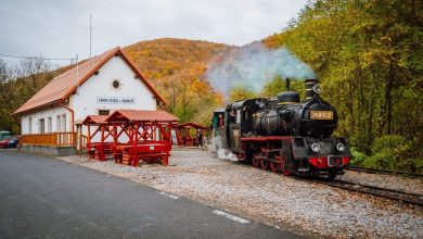 mocanita-sovata-–-campu-cetatii,-calatorie-cu-aburi-prin-peisajele-muresului