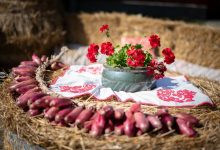 festivalul-cepei,-patru-zile-de-sarbatoare-la-siculeni.-republic,-gastronomie-locala-si-traditionala-„ruta-a-cepei”