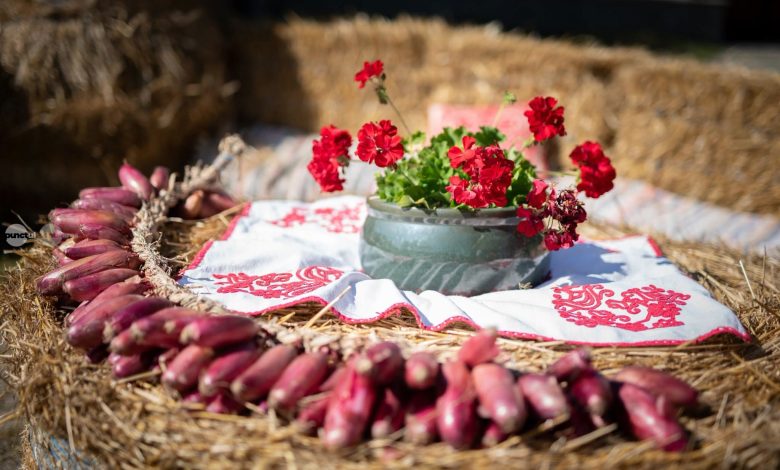 festivalul-cepei,-patru-zile-de-sarbatoare-la-siculeni.-republic,-gastronomie-locala-si-traditionala-„ruta-a-cepei”