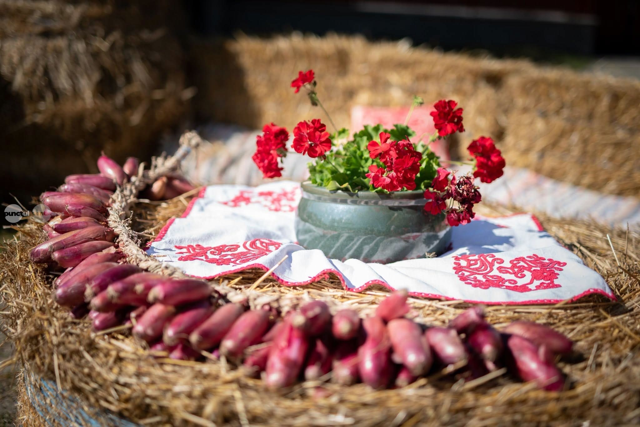 festivalul-cepei,-patru-zile-de-sarbatoare-la-siculeni.-republic,-gastronomie-locala-si-traditionala-„ruta-a-cepei”