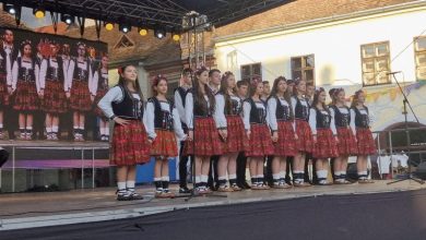 a-doua-zi-a-festivalului-proetnica-sighisoara,-editia-a-xxii-a