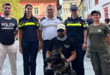 profesia-de-politist,-promovata-la-festivalul-proetnica
