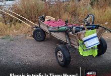parcari-pe-locurile-de-handicap-si-blocaje-in-trafic:-26-de-masini-ridicate-de-pe-strazile-din-targu-mures!