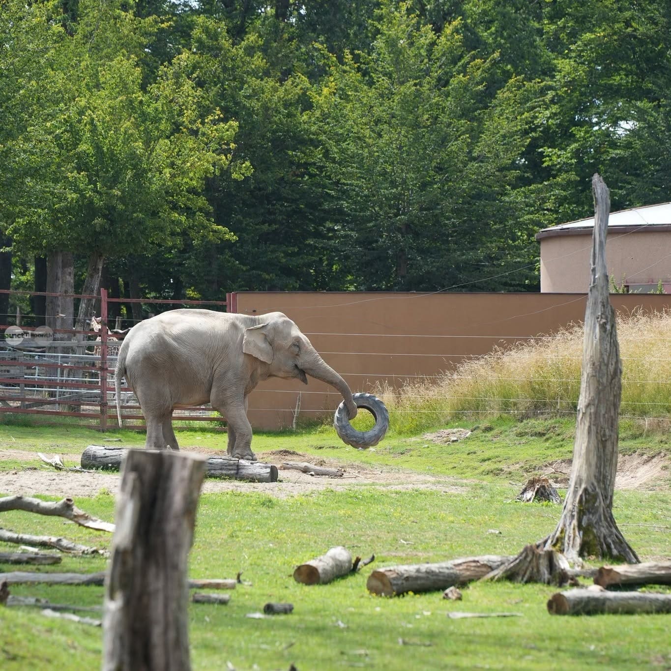 contract-de-peste-4,4-milioane-de-lei-pentru-achizitia-de-hrana-la-gradina-zoo