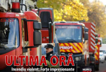 incendiu-violent-la-o-hala-de-reciclare-deseuri-plastice-in-zona-ludus.-forte-impresionante-mobilizate-de-isu-mures-si-mesaj-ro-alert-emis