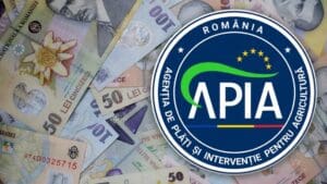 cinci-sedii-apia,-renovate-si-eficientizate-energetic-cu-aproape-23-de-milioane-de-lei