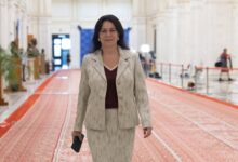 dumitrita-gliga:-romania-are-nevoie-de-un-guvern-stabil-in-jurul-unor-obiective-concrete