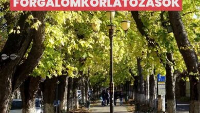 restrictii-de-circulatie-pe-bulevardul-cetatii