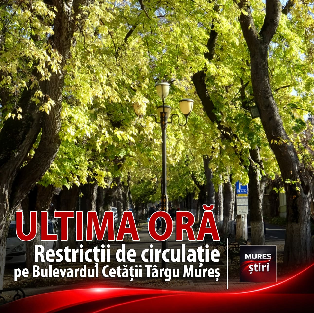 trafic-restrictionat-pe-bulevardul-cetatii-din-targu-mures-pentru-„zilele-culturale-ale-romilor”