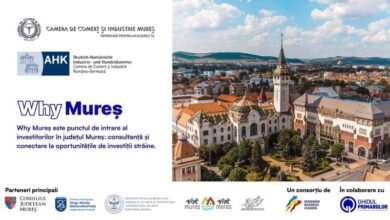 „why-mures”,-la-munchen:-judetul-isi-promoveaza-potentialul-in-fata-investitorilor-internationali