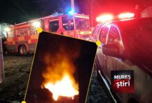 interventie-rapida-la-sabed:-un-incendiu-provocat-de-un-scurtcircuit,-lichidat-inainte-sa-se-extinda-la-casele-din-jur!