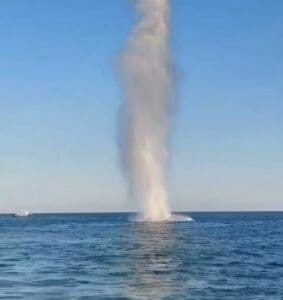 fragment-de-drona-aeriana-cu-incarcatura-exploziva,-neutralizat-vineri-seara,-la-mai-putin-de-10-km-de-intrarea-pe-bratul-sulina