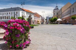 ziua-eliberarii-orasului-sfantu-gheorghe-de-sub-ocupatie-straina,-sarbatorita-pe-8-septembrie