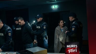 jaf-ca-in-filme-la-o-sala-de-jocuri-din-ludus:-a-taiat-curentul,-a-amenintat-angajata-si-a-fugit-cu-17.000-de-lei!-suspectul-de-29-de-ani,-prins-de-politisti
