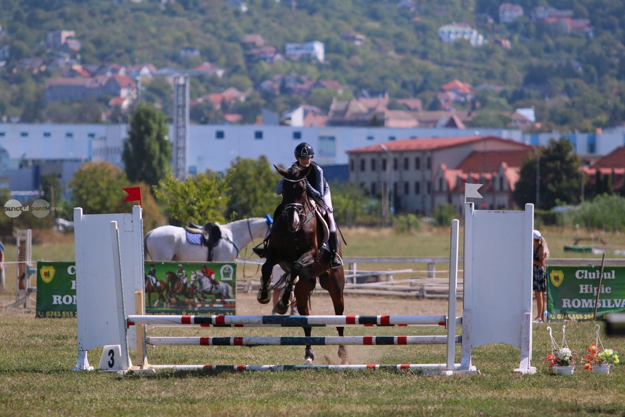 castigatorii-campionatului-national-de-eventing-desfasurat-clubul-hipic-romsilva-din-targu-mures