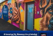ai-trecut-pe-str.-baneasa-si-te-ai-intrebat-ce-cauta-acolo-o-cladire-pictata-din-cap-pana-n-picioare?