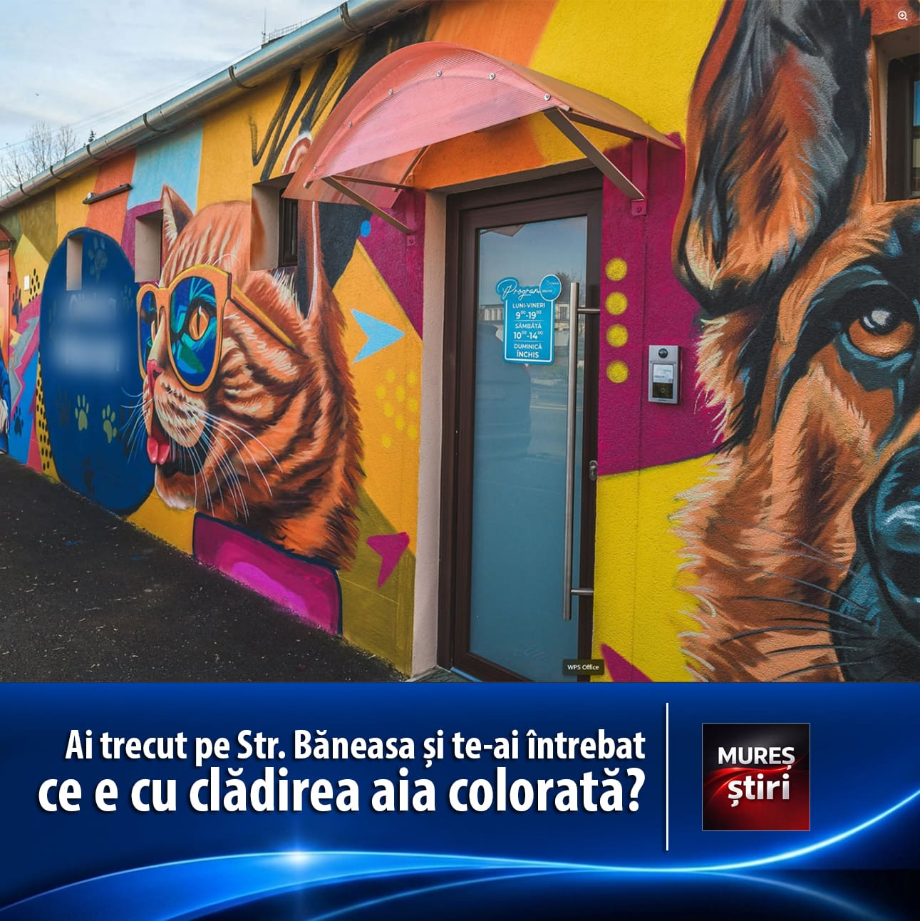 ai-trecut-pe-str.-baneasa-si-te-ai-intrebat-ce-cauta-acolo-o-cladire-pictata-din-cap-pana-n-picioare?
