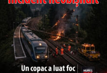 incident-neobisnuit:-un-copac-cazut-pe-calea-ferata-a-luat-foc-in-mures.-doua-trenuri-de-calatori,-oprite-temporar